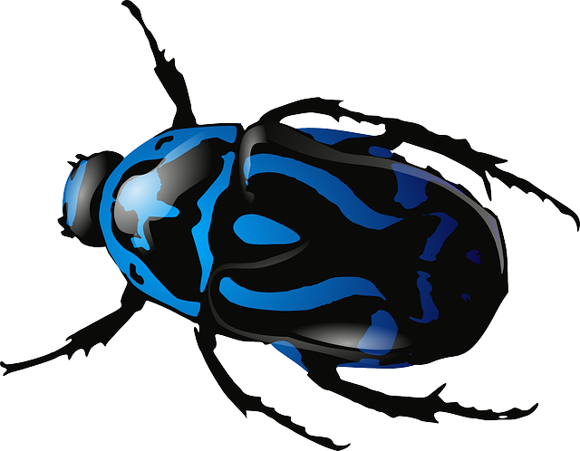 The Intriguing Adaptations of Insects for Survival