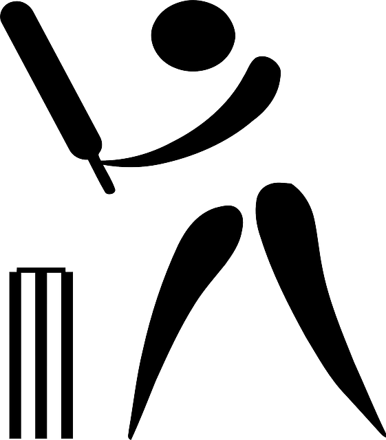 Enhanced Player Performance Analysis through AI in IPL