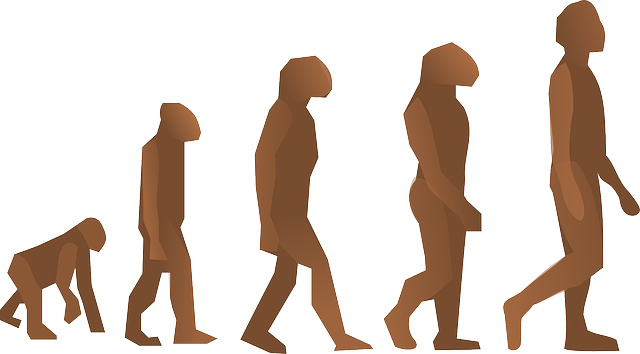 Darwin's Theory of Evolution: A Paradigm Shift in Science