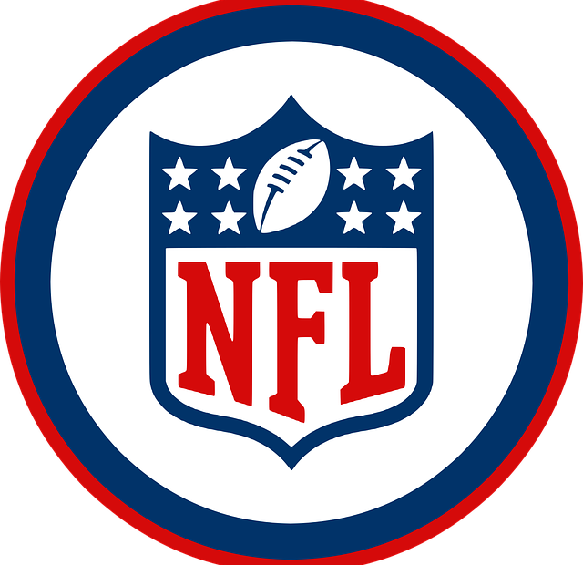 NFL Logo