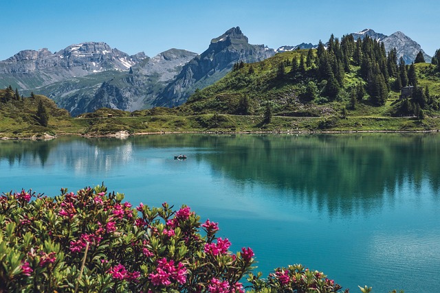 Discovering the Serene Beauty of Switzerland's Lakes and Waterfalls