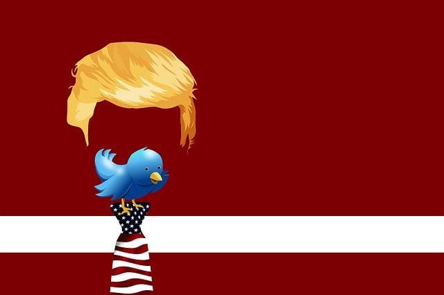 The Role of Social Media in Donald Trump's Political Strategy