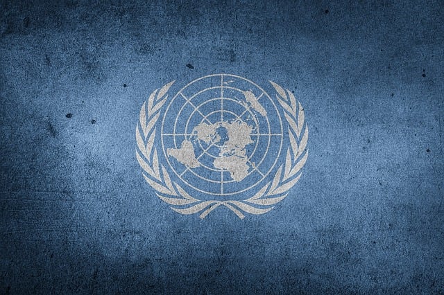 United Nations 1184119 640