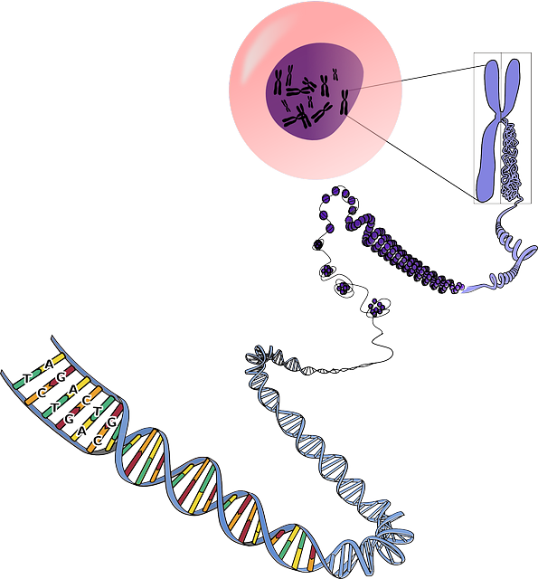 RNA Modifications and their Impact on Cellular Processes