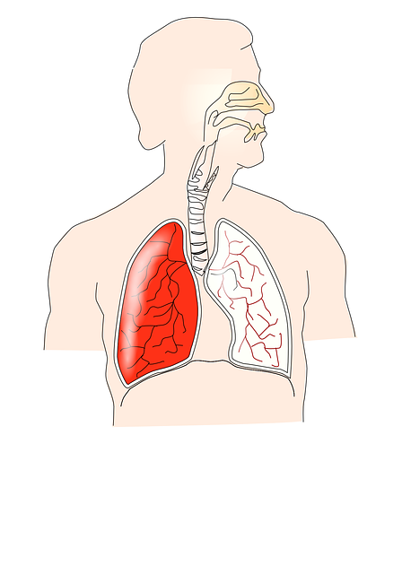 The Importance of Respiration for Human Health