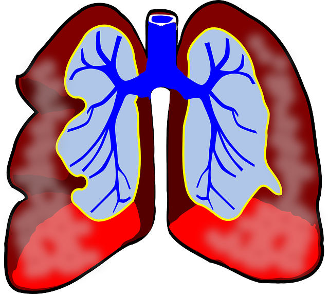 Common Respiratory Disorders and How to Manage Them